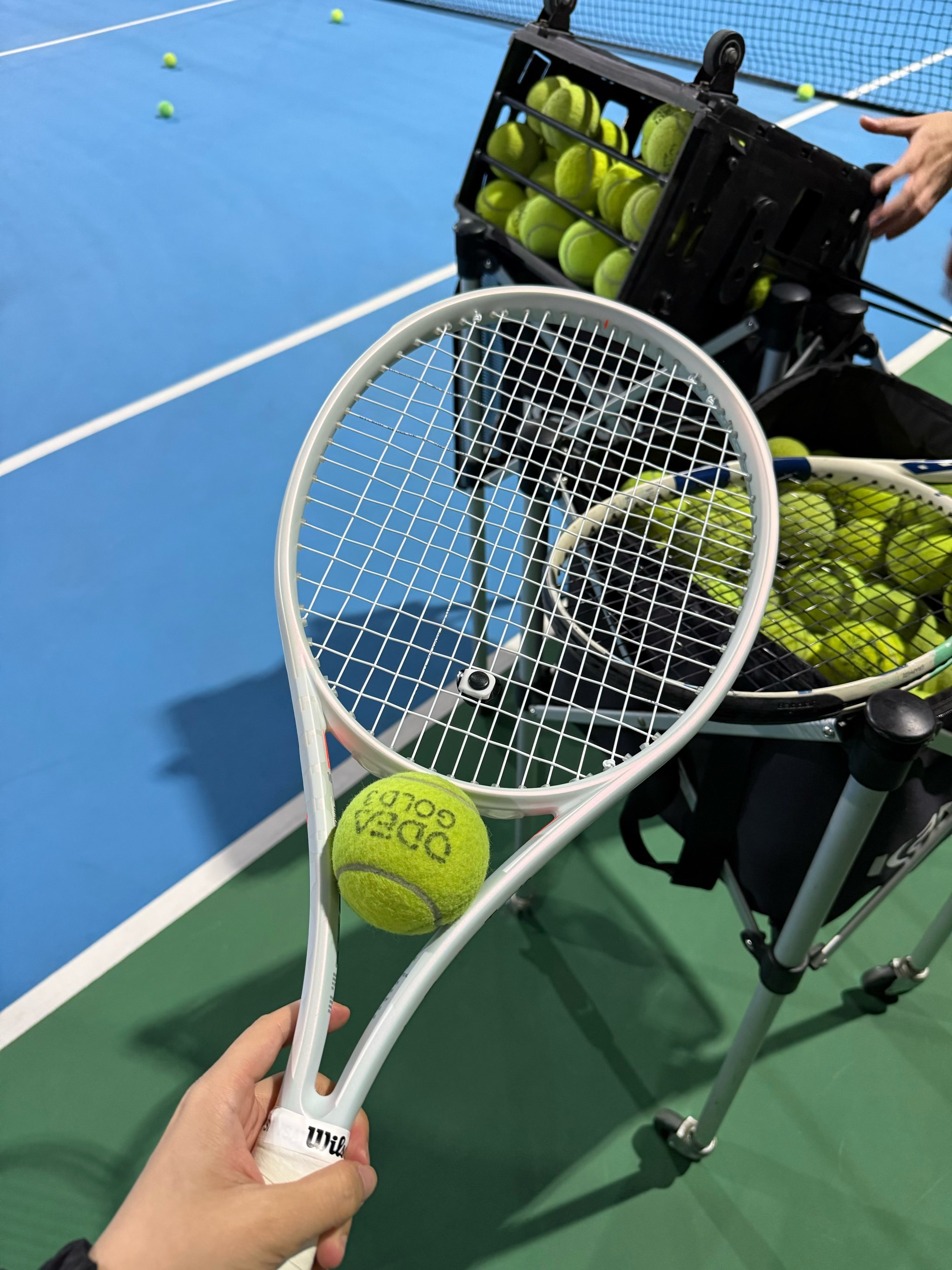 冰锦标赛 冰锦标赛